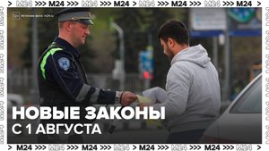 Россиянам рассказали, какие законы вступят в силу с 1 августа 2025 года - Москва 24