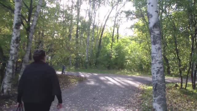 Жёлтые  крылья смотреть онлайн