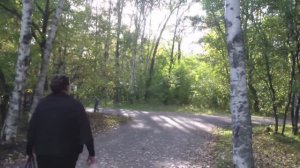 Жёлтые  крылья