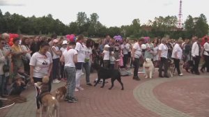 Дог-парад. Золотая свора. День города. Луге 245 лет. 2022 год.