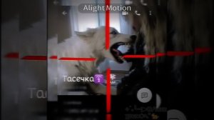 Очень жаль свою подругу, что она так быстро выросла... Я плакать от этого хочу(