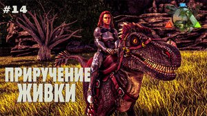 ARK Survival Evolved #14 Приручение живки (без модов, соло, the island)