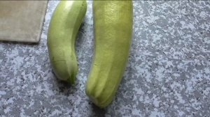 Кабачок МЕДВЕЖОНОК