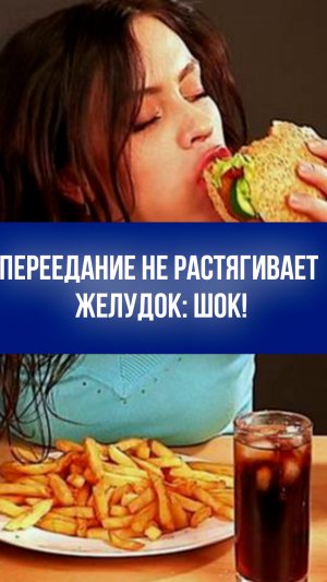 Врач развенчал миф о растяжении желудка: переедание — не причина, а следствие!
