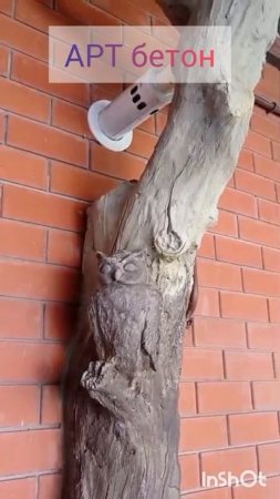 Всем бобра!