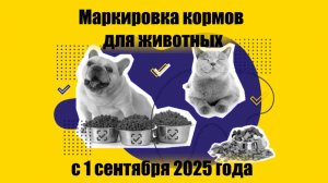 Вебинар. Маркировка кормов для животных