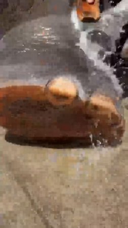 VID_20250801_053926_723.mp4