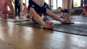 Курс инструкторов йоги 2026 | Очно в Москве и онлайн | Сертификат с лицензией