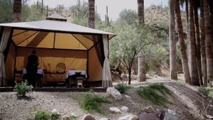 3780074-hd_1920_1080_25fps