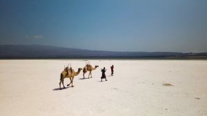 Africa's Coastal Wonders: Experience the Breathtaking Beauty and Unique Attractions