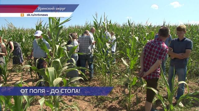 Уборочная кампания стартовала в Нижегородской области