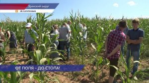 Уборочная кампания стартовала в Нижегородской области