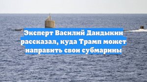 Эксперт Василий Дандыкин рассказал, куда Трамп может направить свои субмарины