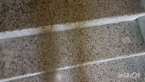 Лифт OTIS 1000R 2008 г