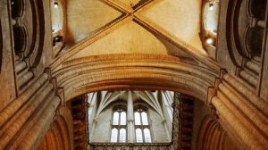 13938509_1920_1080_30fps