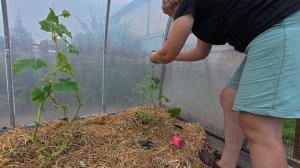 Полезная мысля пришла позже