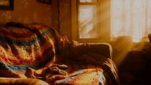 Уютный вечер