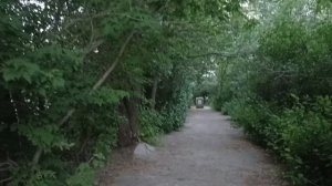 Небольшая прогулка по поволжскому селу