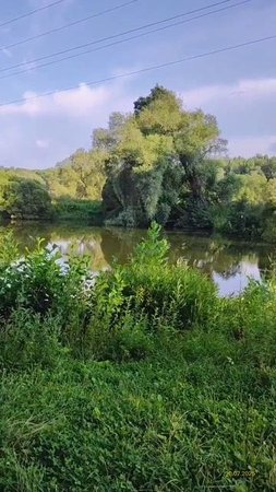 Измайловский парк 30.07.2025