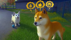 Пушистые. Проблемные. Наши — Animal Shelter 2