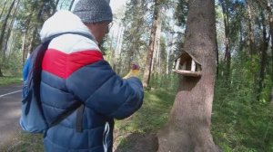 Я приехал в лес кормить птиц. Прогулка в Завидово.