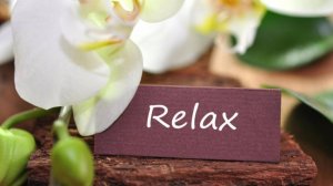 Релакс-видео.Природа,птички.Музыка Ambient Chillout