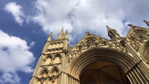 855955-hd_1920_1080_30fps