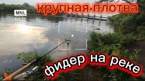 Фидер в жару!!!супер фидерный монтаж!
