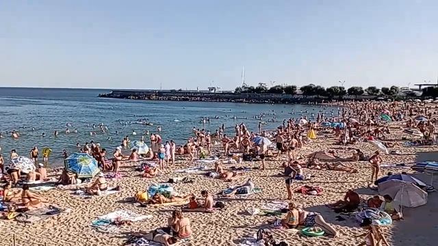 Пляж моря, вечер после нашествия полчищ страшно больших медуз. Мир Универсологии