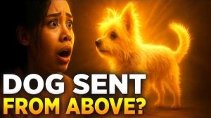 17 лет в Нью Эйдже(новом веке) - и потом собака привела её к Иисусу Христу - God's voice daily