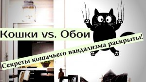 Кошки и обои.Секреты кошачьего вандализма.