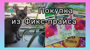 В ОЖИДАНИИ/СХОДИЛА В ФИКС-ПРАЙС/КУПИЛА АРБУЗ 🍉