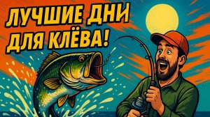 Рыба клюёт как бешеная! Лучшие дни для рыбалки по Луне с 4 по 10 августа 2025 🐟