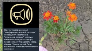 Николаев 1 августа 2025 года (новости)