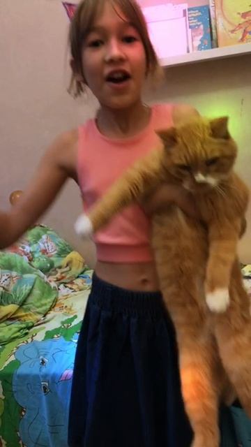 Кошачий чат