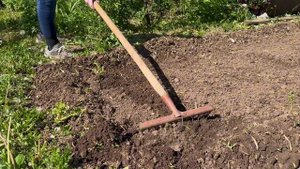 Создаем идеальные грядки с нуля! 🌱 Секреты урожая