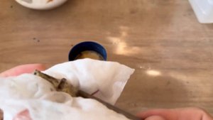 Увидел как мастера используют перекись водорода с солью. Теперь делаю также