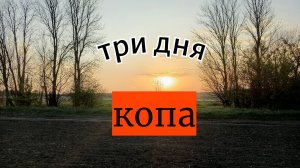 три дня копа