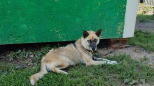 Скандалистка.