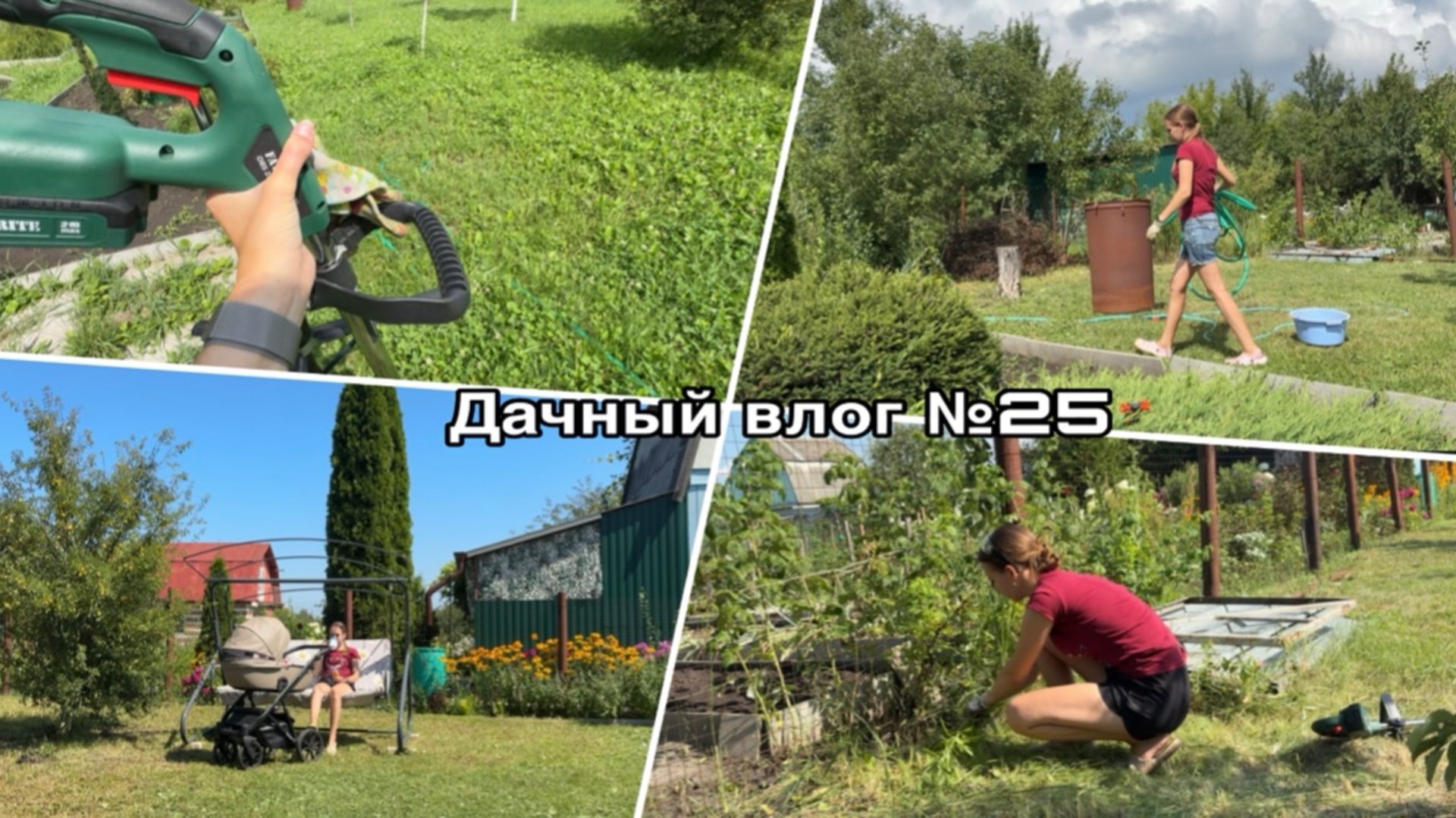Дачный влог 25  Спасаю свой крыжовник  Продолжаю расчистку участка