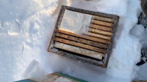 Онлайн Курс Зимовка пчёл. Технологии, которые позволят Вам избежать потерь пчёл