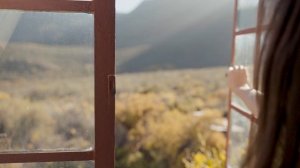 5835698-uhd_3840_2160_25fps