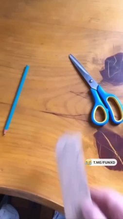 Как занять кота на весь день😅