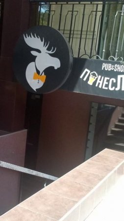 Эх, понеслось?..