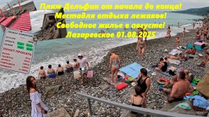 Дельфин от начала до конца!  Где отдыхают лежаки? Цены на жилье и в Восточном. Лазаревское 01.08.25