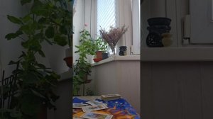 три события в августе