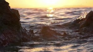 Солнца диск за Дальницкой заставой...