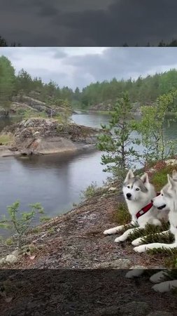 VID_20250801_161645_013.mp4