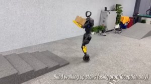 Новый робот адаптируется к среде без камер и внешних датчиков