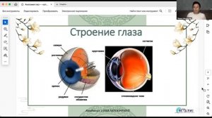 Разбор болезней зрения